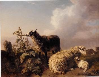 unknow artist Sheep 082 china oil painting image